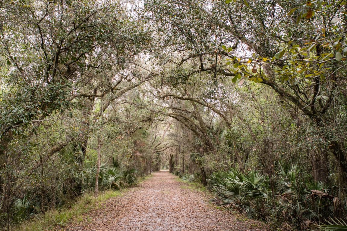 7 Hiking Trails With Breathtaking Views Near Orlando