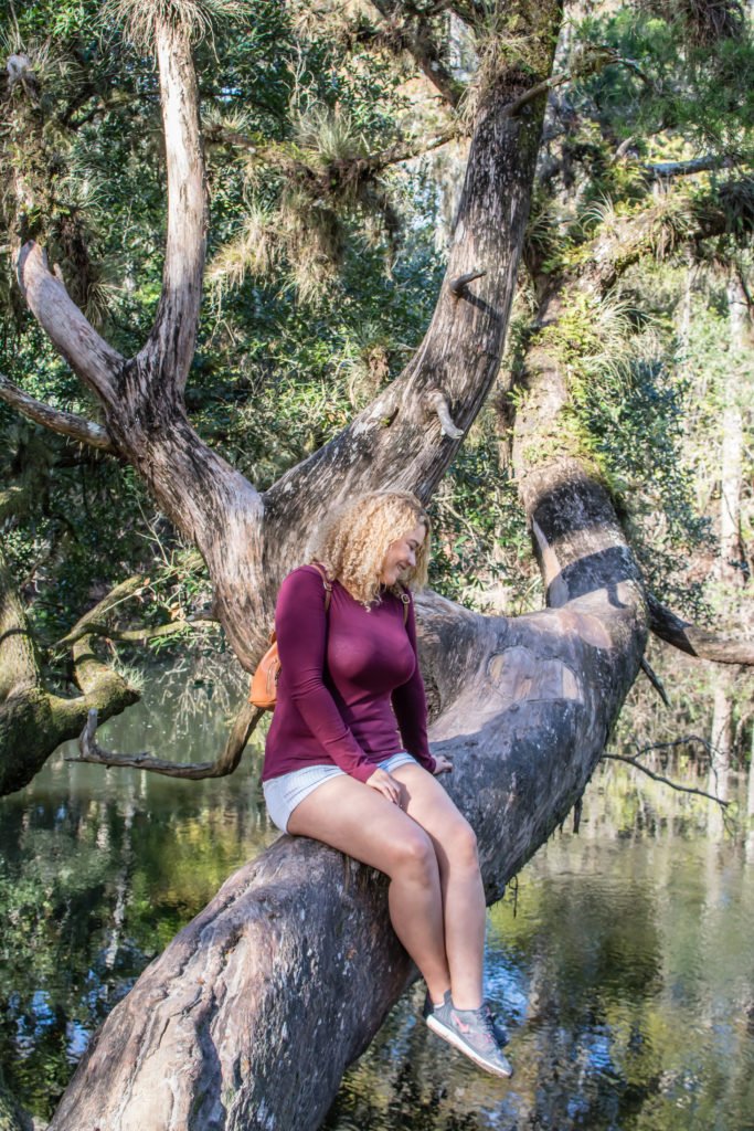 sitting on a tree branch in Hillsborough river state park