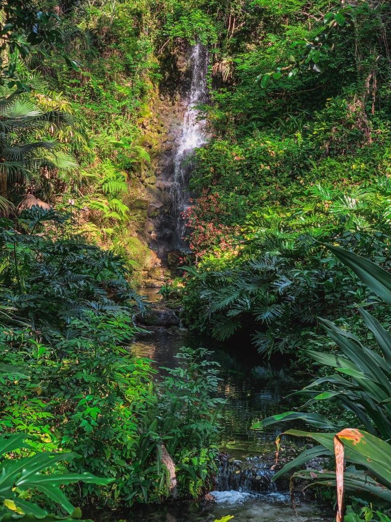 garden oasis and waterfalls in rainbow springs state park