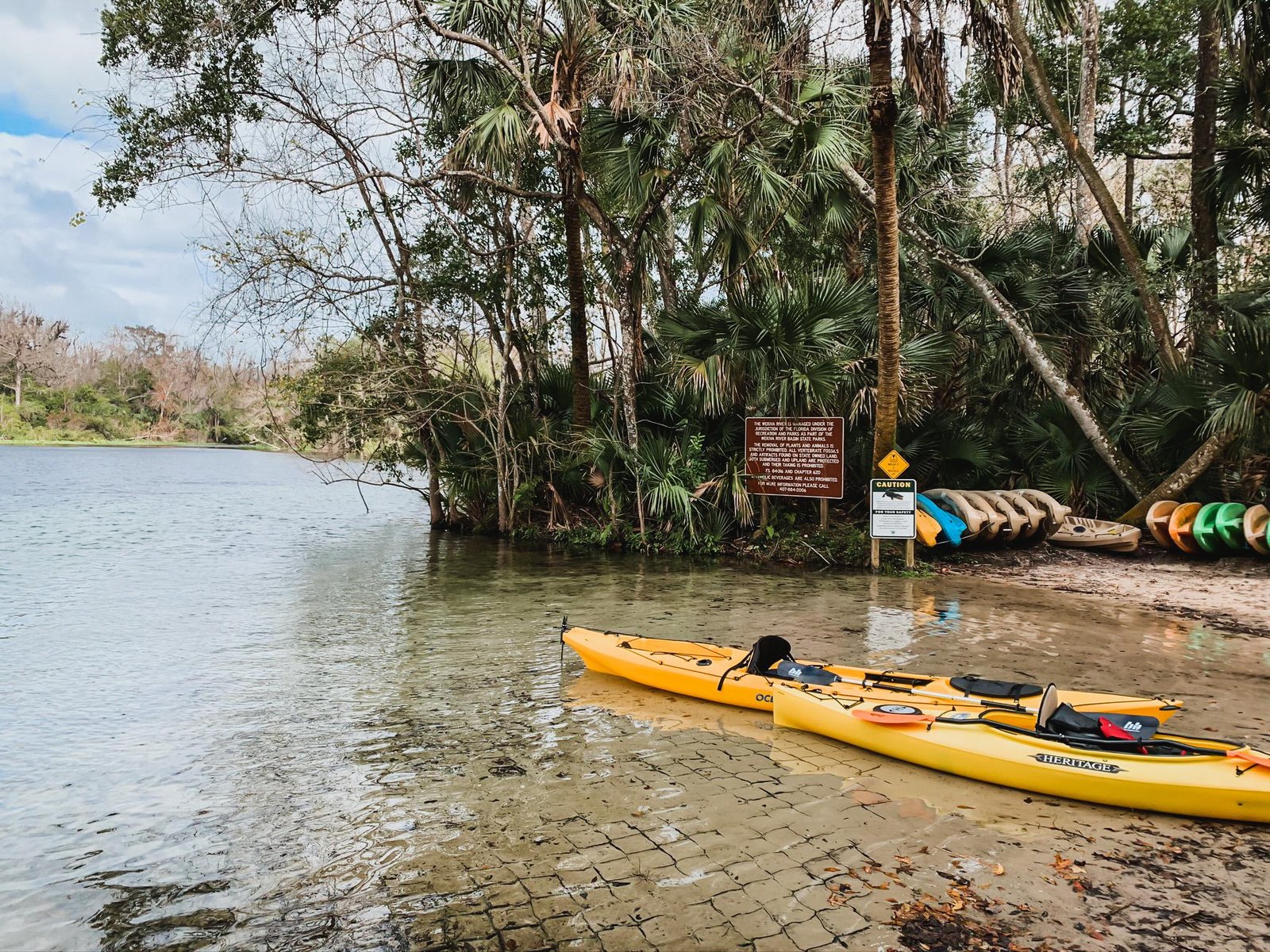 kayaking in florida springs