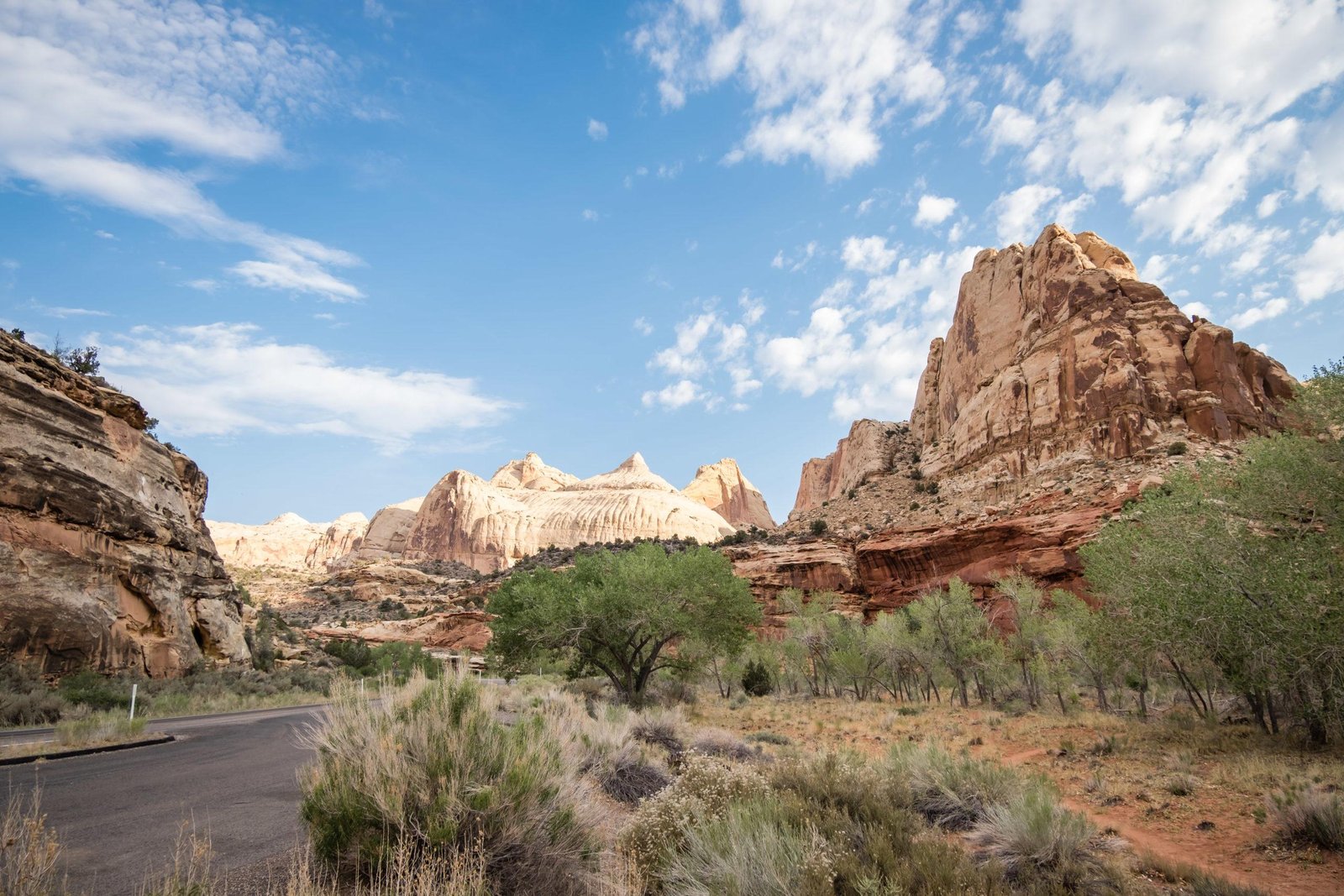 best hikes in capitol reef national park