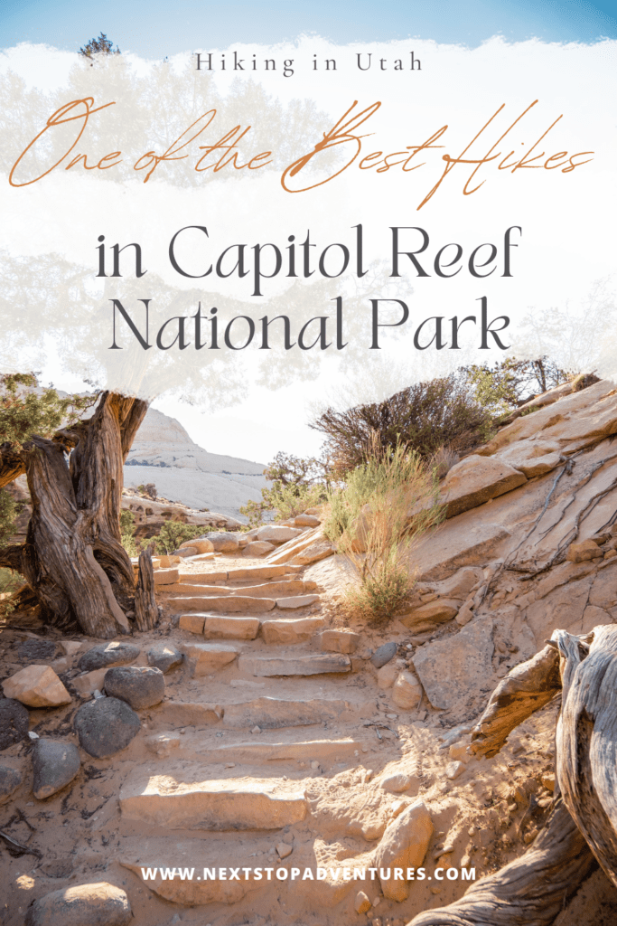 best hikes in capitol reef national park in utah