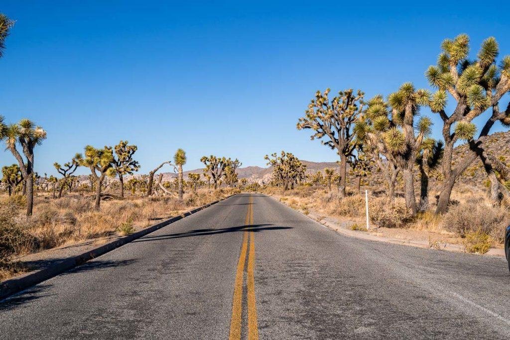 joshua tree national park best outdoor places to visit in the u.s.