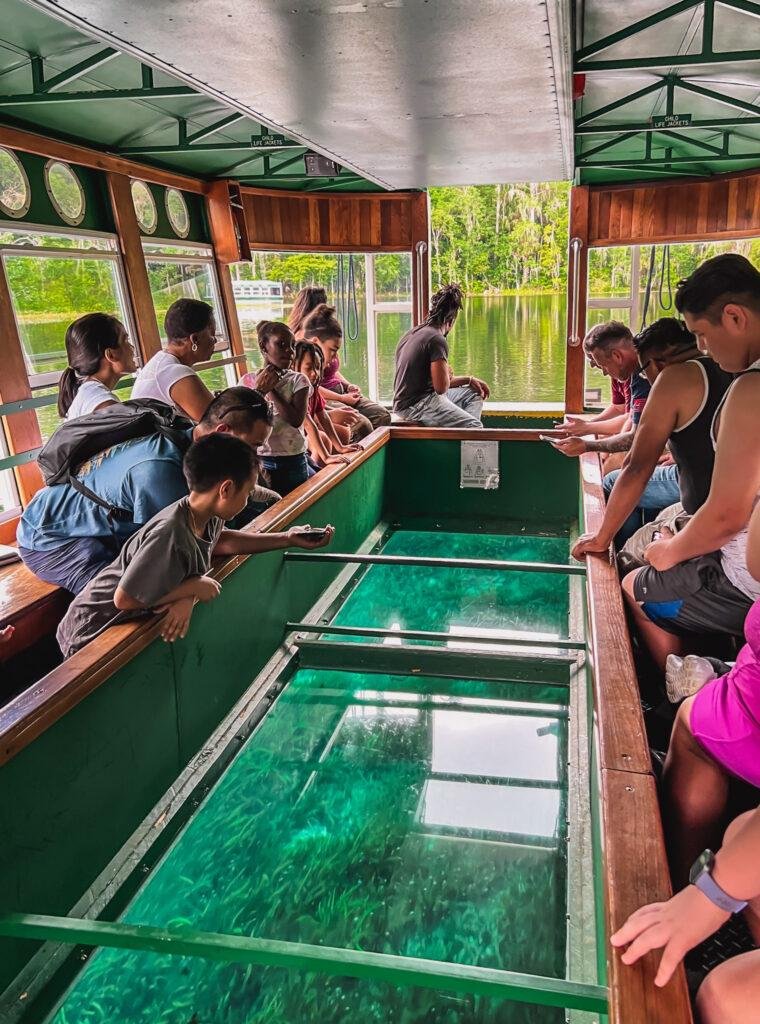 glass bottom boat tour