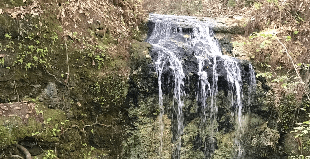 An Epic Journey To Explore Florida S Largest Waterfall Next Stop   Falling Waters State Park 1 