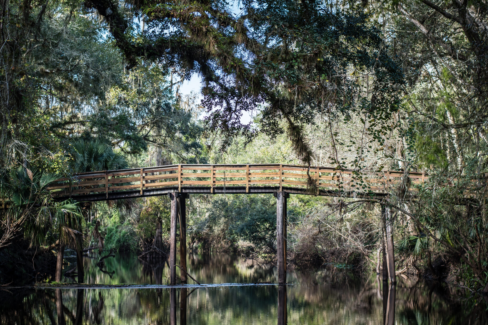 Exploring Hillsborough River State Park