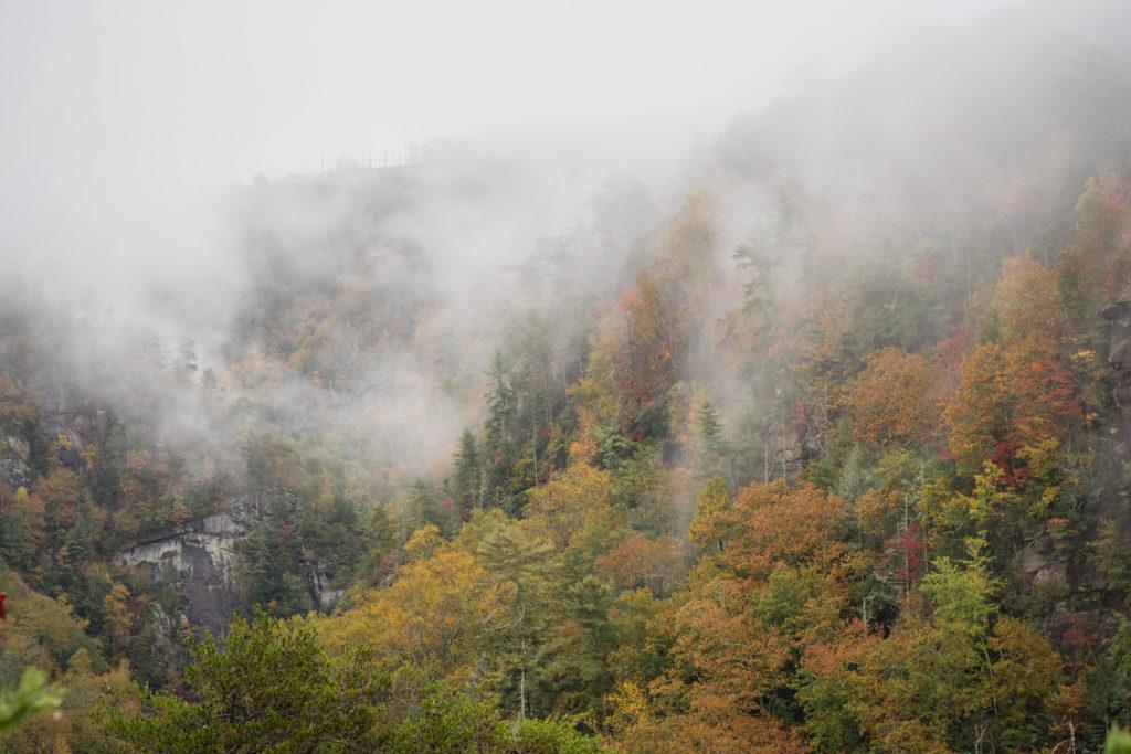 fall foliage in Tallulah Gorge State Park on a misty morning