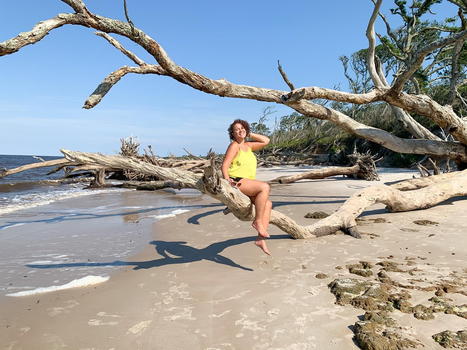 Boneyard Beach In Florida A Treasure Inside Big Talbot Island Next Stop Adventures