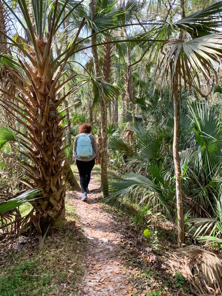 hiking through the hammocks