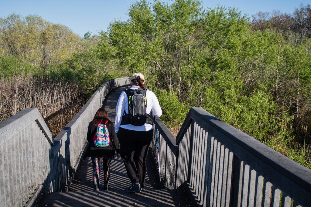 hiking through the boardwalks