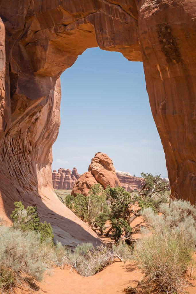 pine tree arch in arches national park