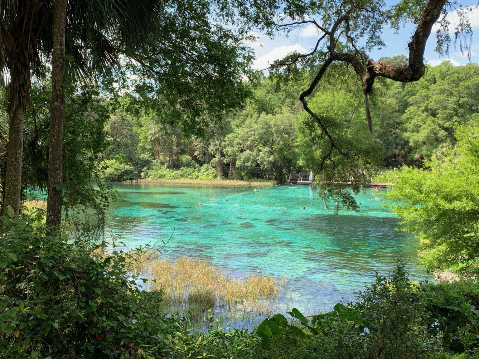 22 Exciting Adventure Travel Ideas To Experience In Florida