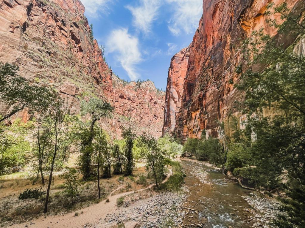 hiking the narrows in zion national park