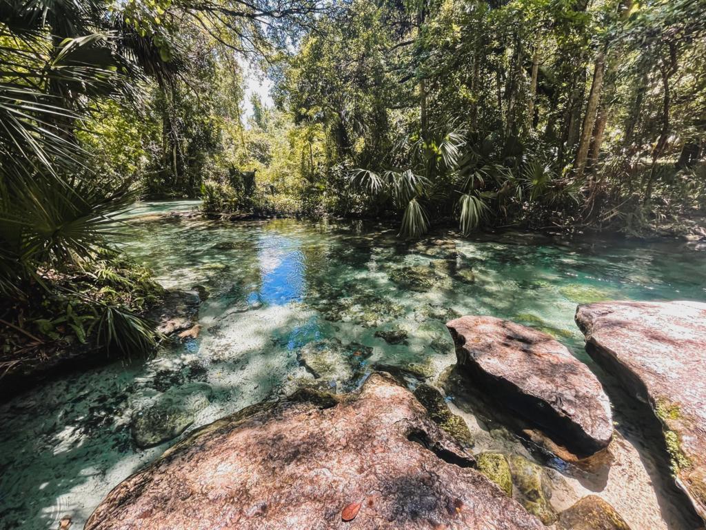 rock springs tubing in central florida