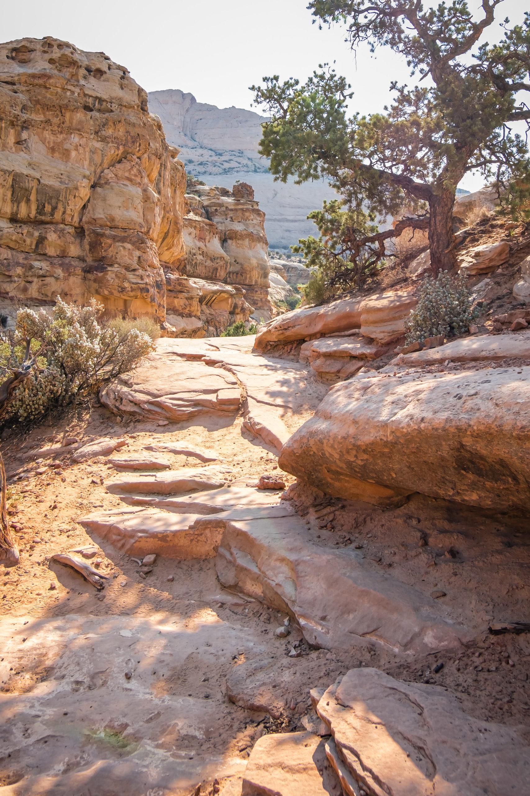hickman bridge trail in utah