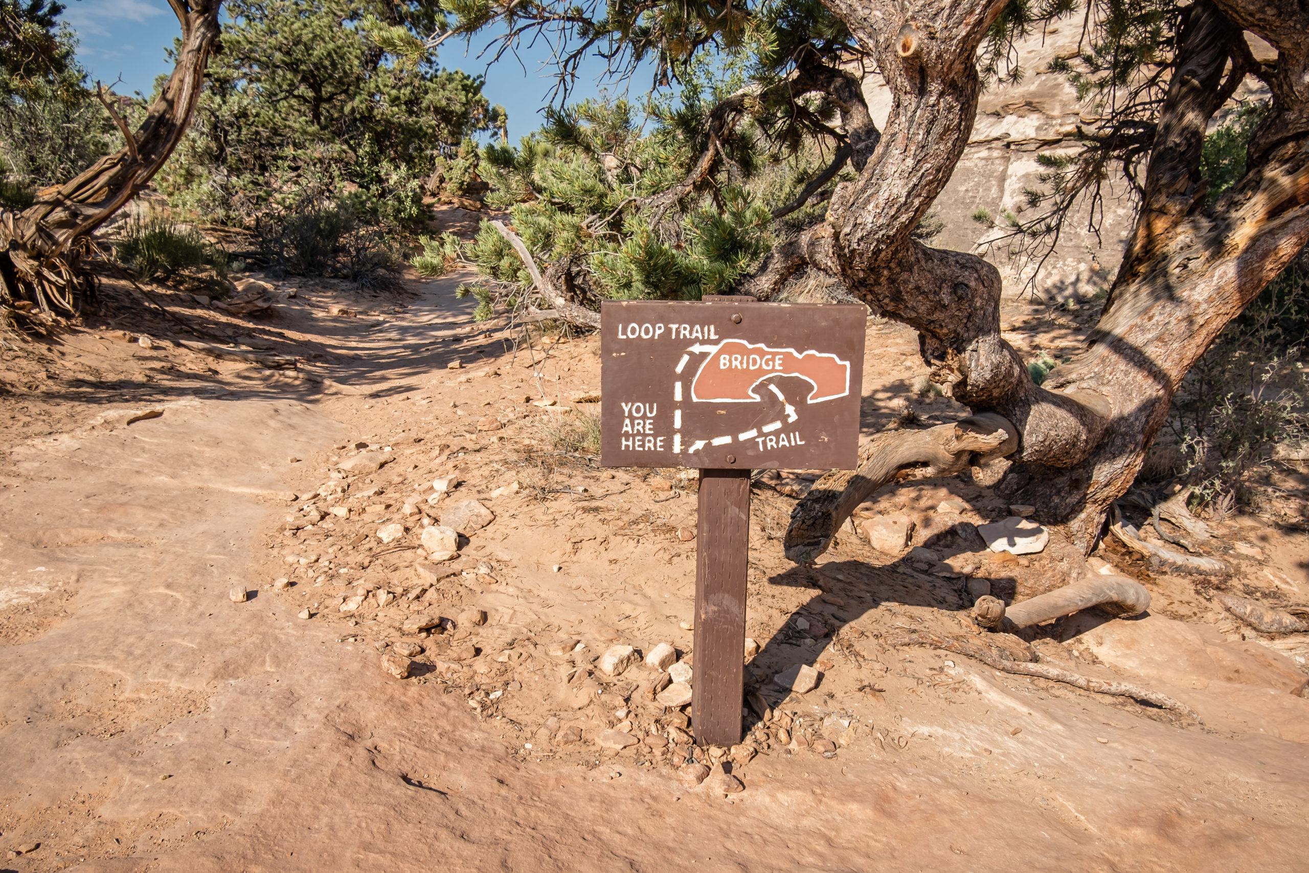 hickman bridge trail in capitol reef