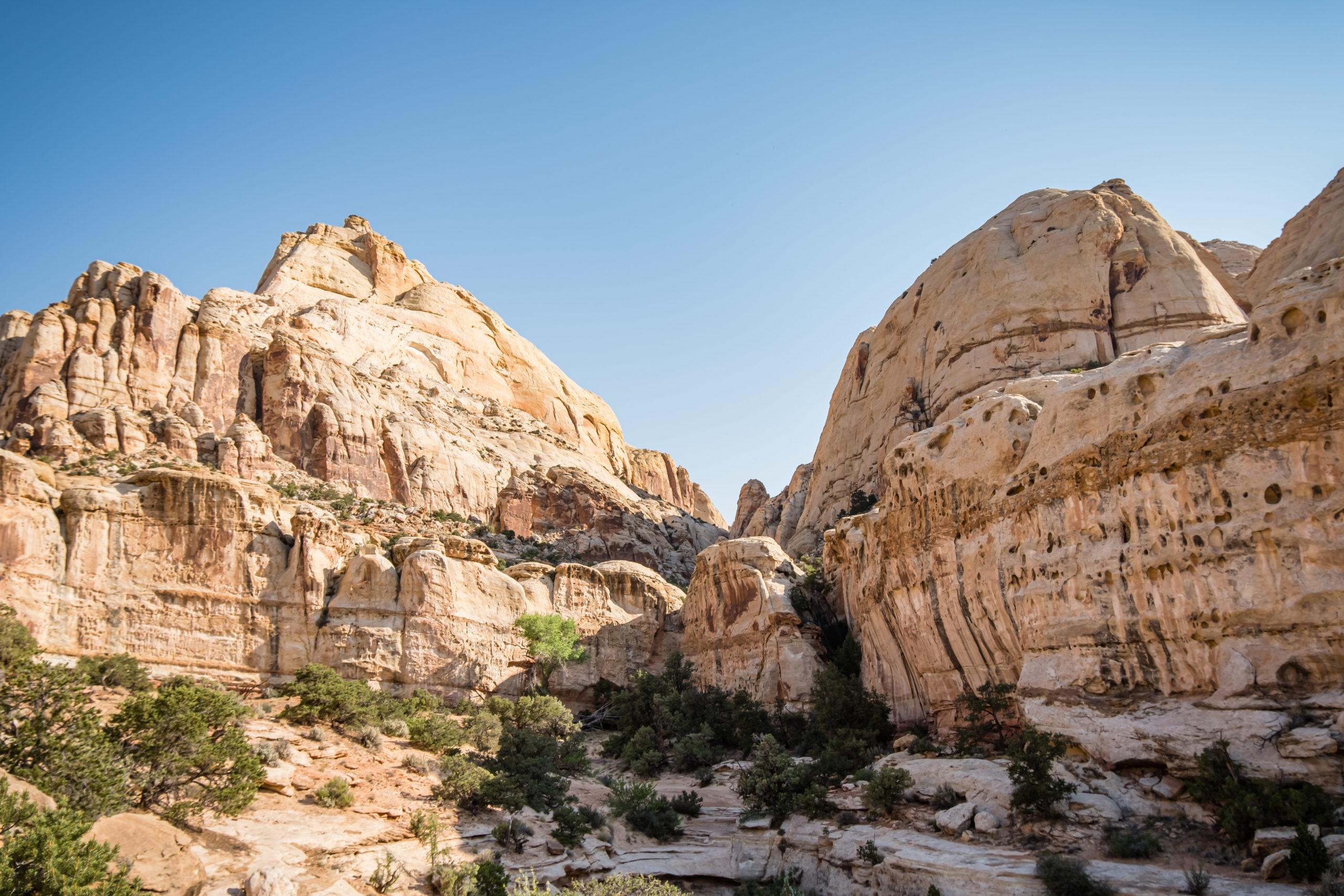 Best short hikes in capitol reef best sale