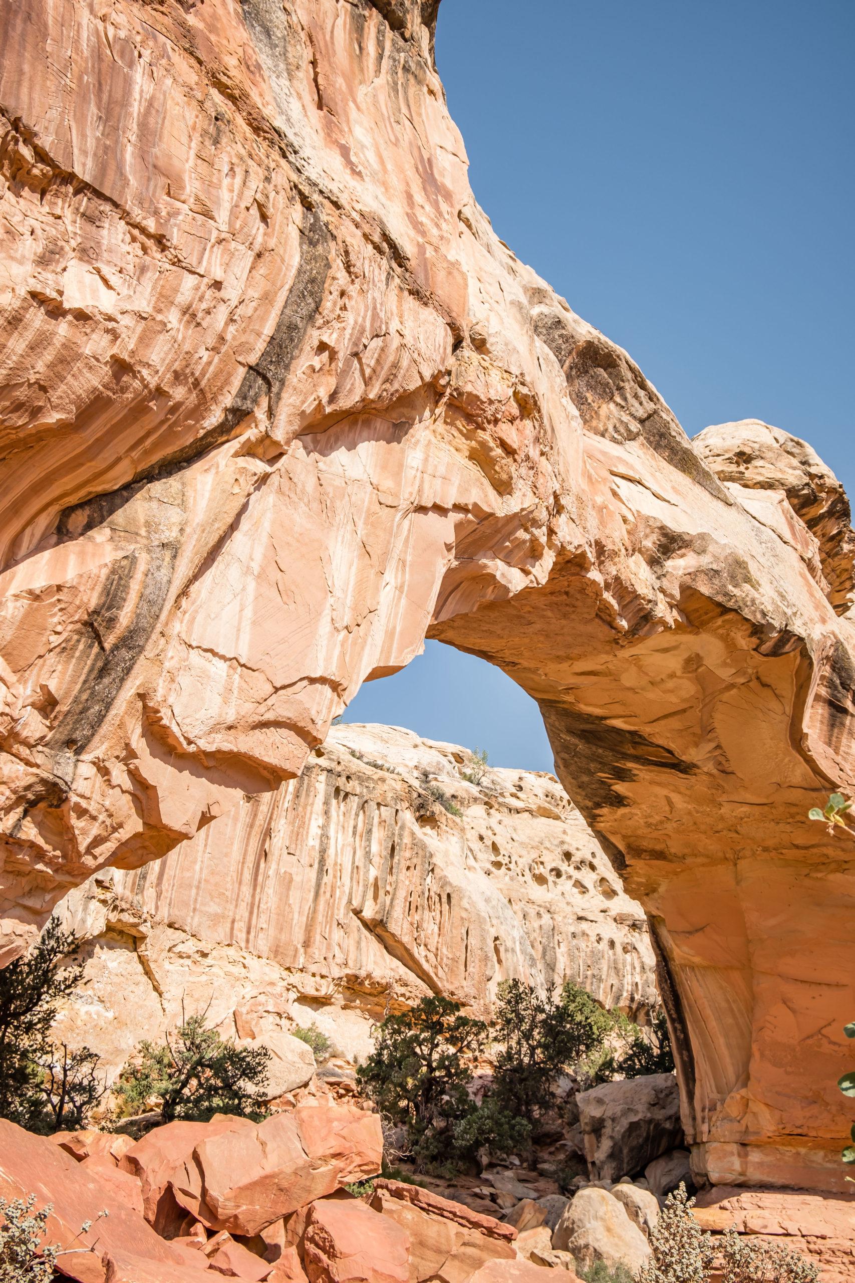 hickman bridge in capitol reef national park