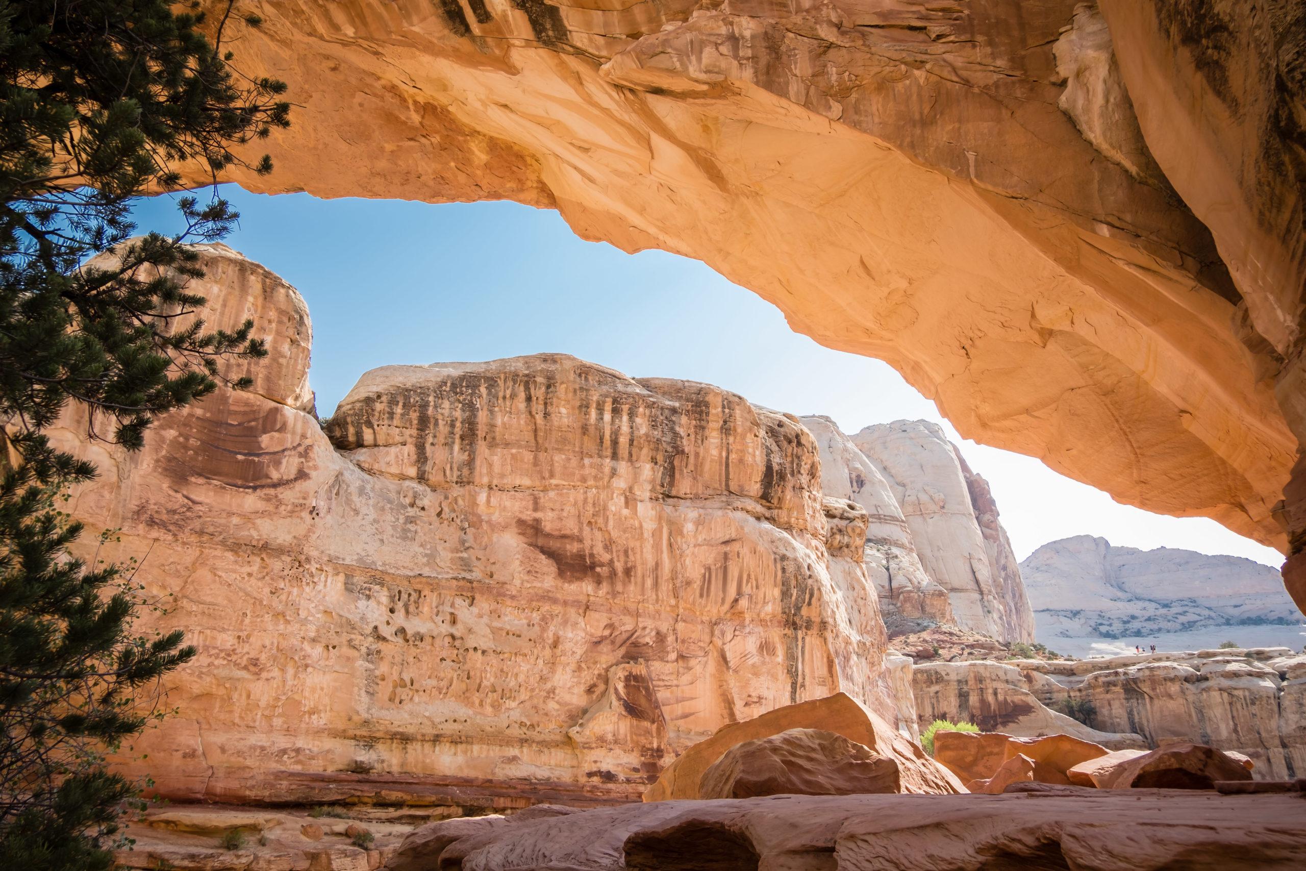 hickman bridge best hikes in capitol reef