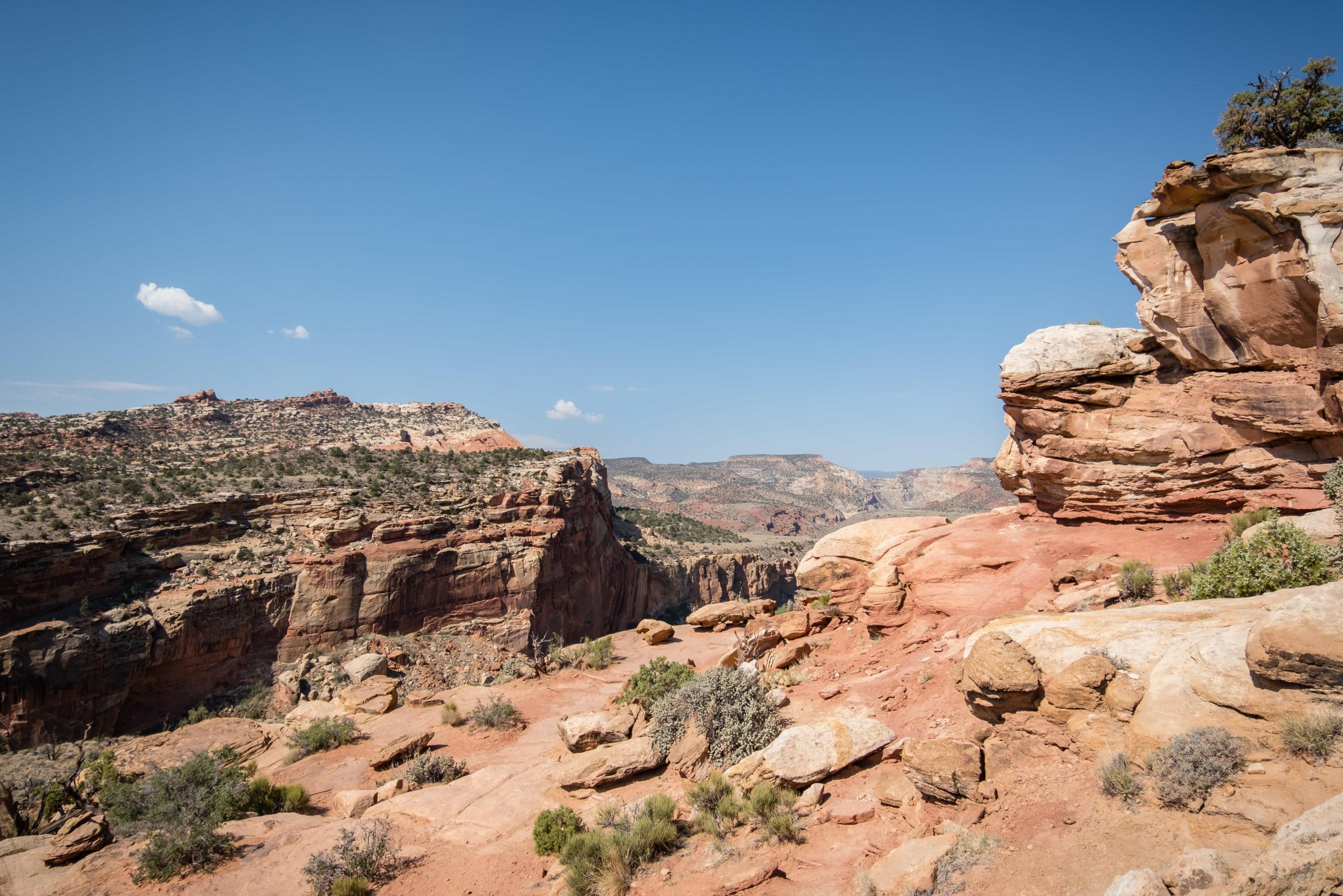canyon views in capitol reef