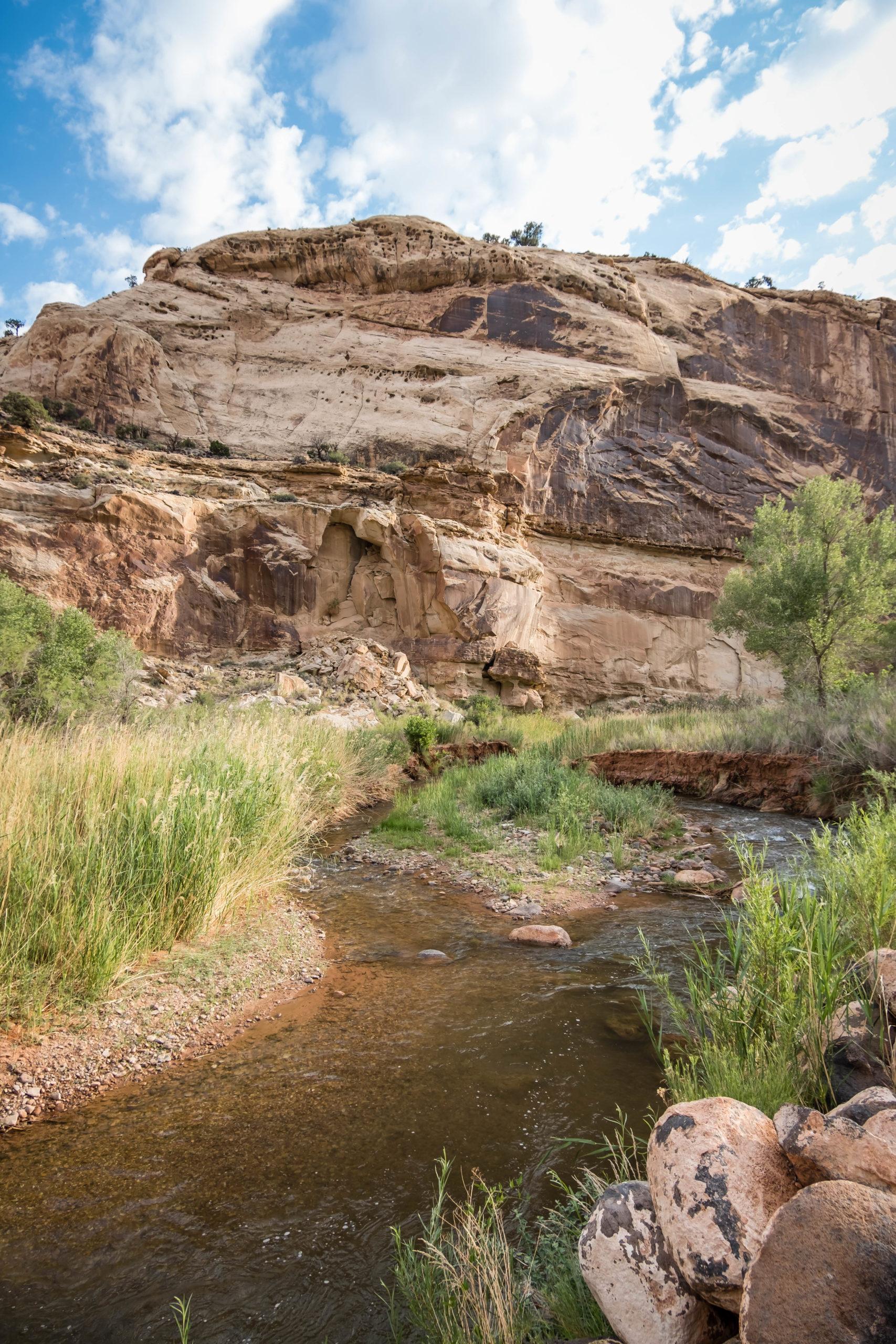 fremont river in capitol reef national park