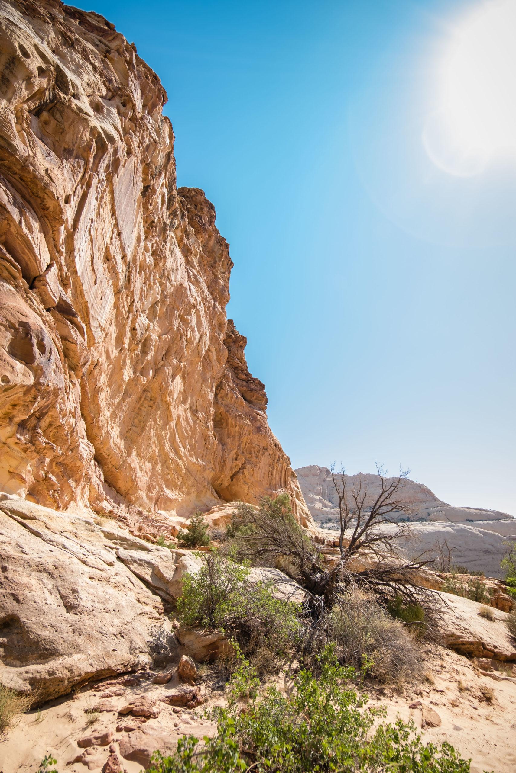 hickman bridge trail in utah