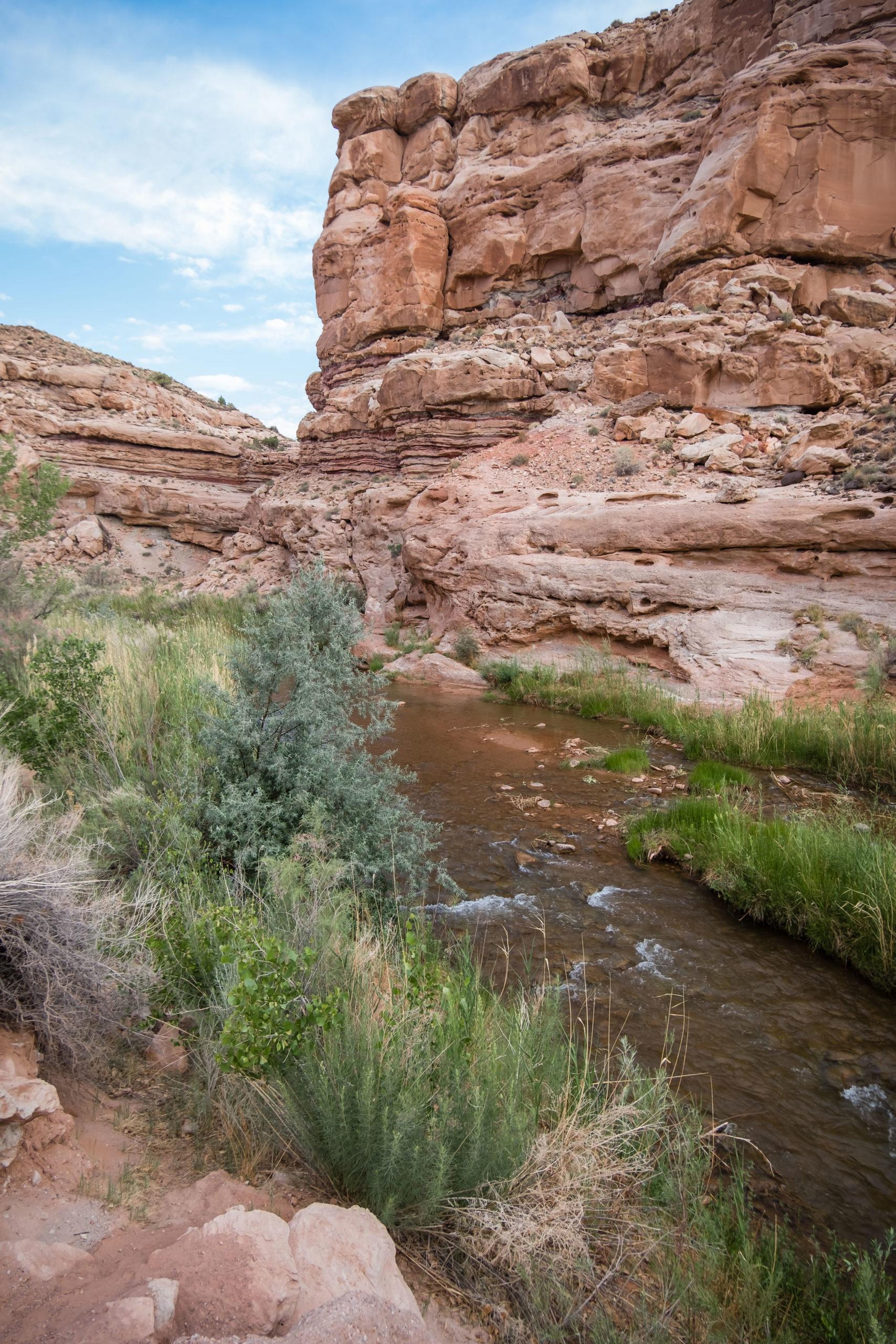 fremont river in hickman bridge trail in utah