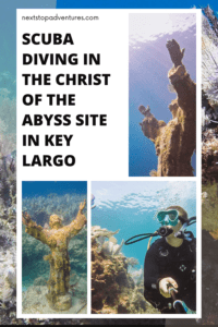 diving Christ of the Abyss