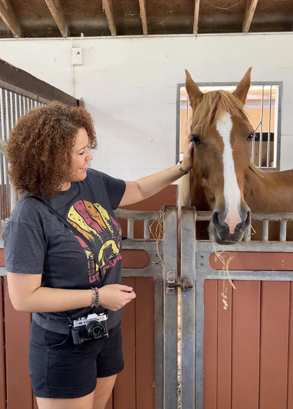 guided farm tour with horses at red horse ranch in sanford