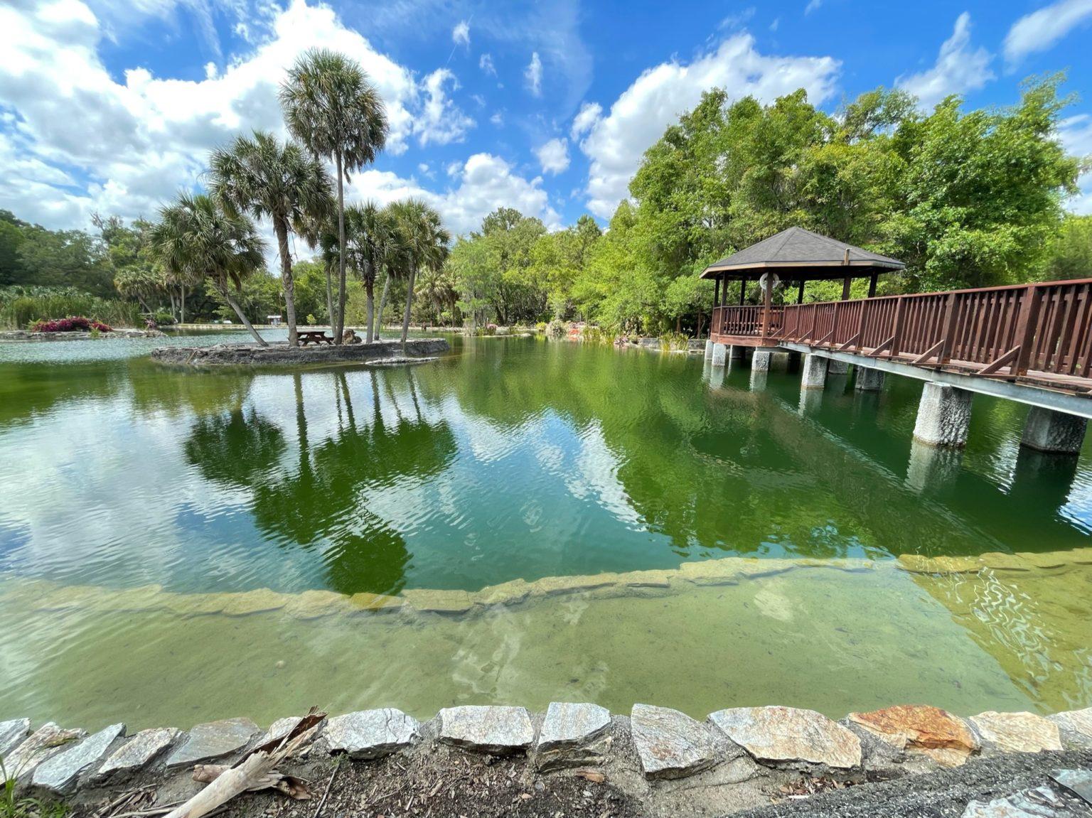 Visiting Devil's Den: Florida’s Mind-Blowing Underground Spring Cave ...