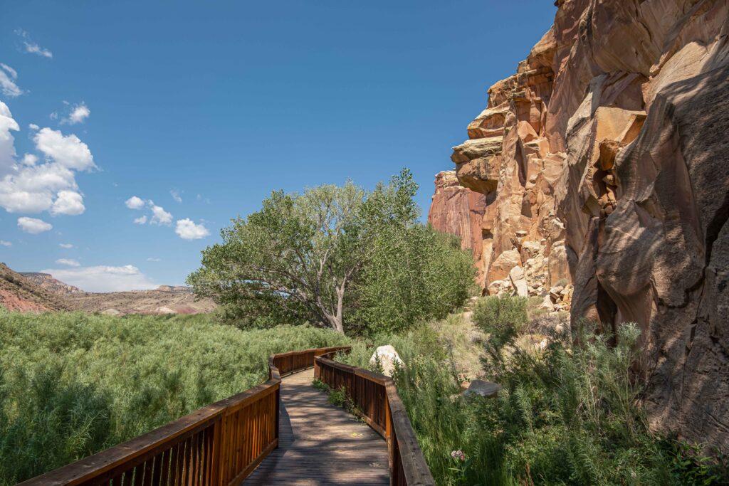 8 Top Hikes in Capitol Reef to Add to Your Bucket List - Next Stop ...