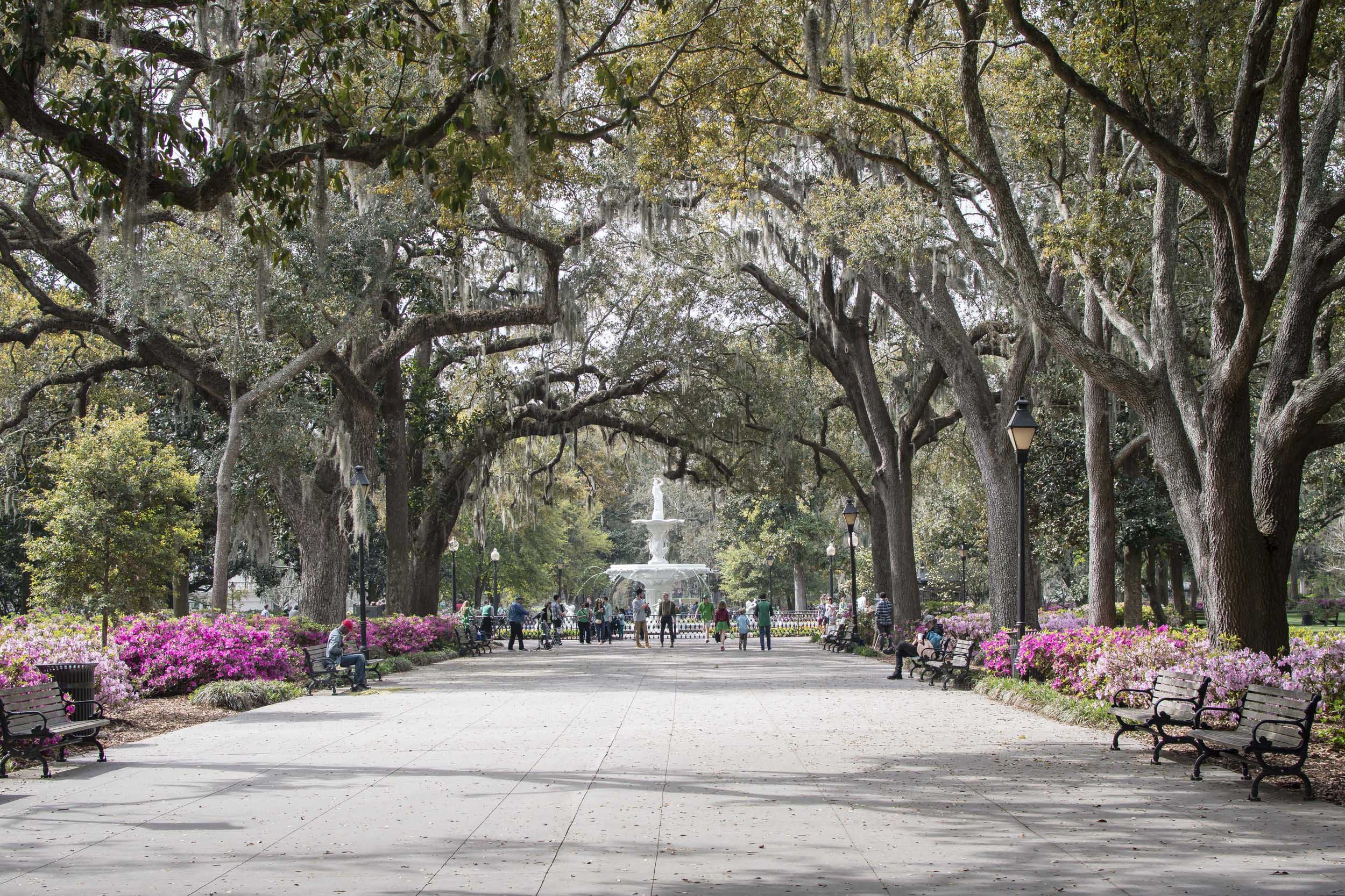 best things to do in savannah