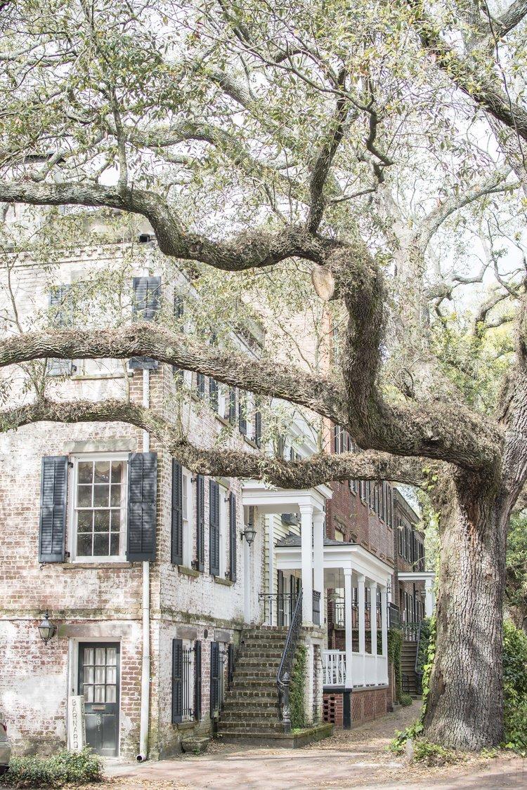 11 Great Things To Do In Savannah For First-Time Visitors