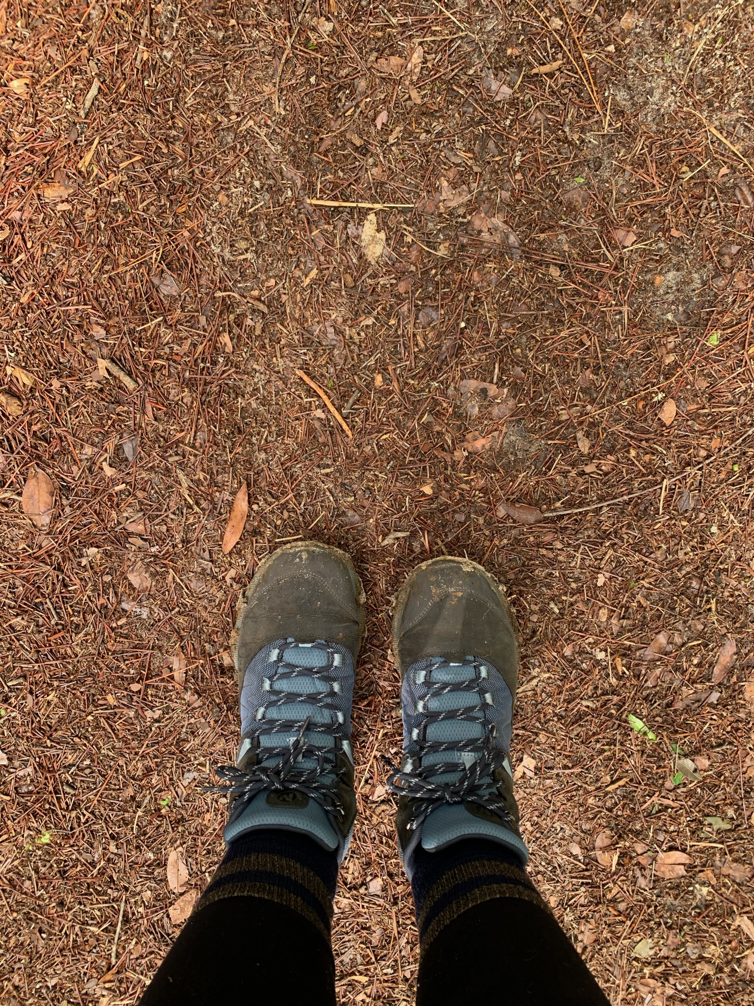 boots for hiking