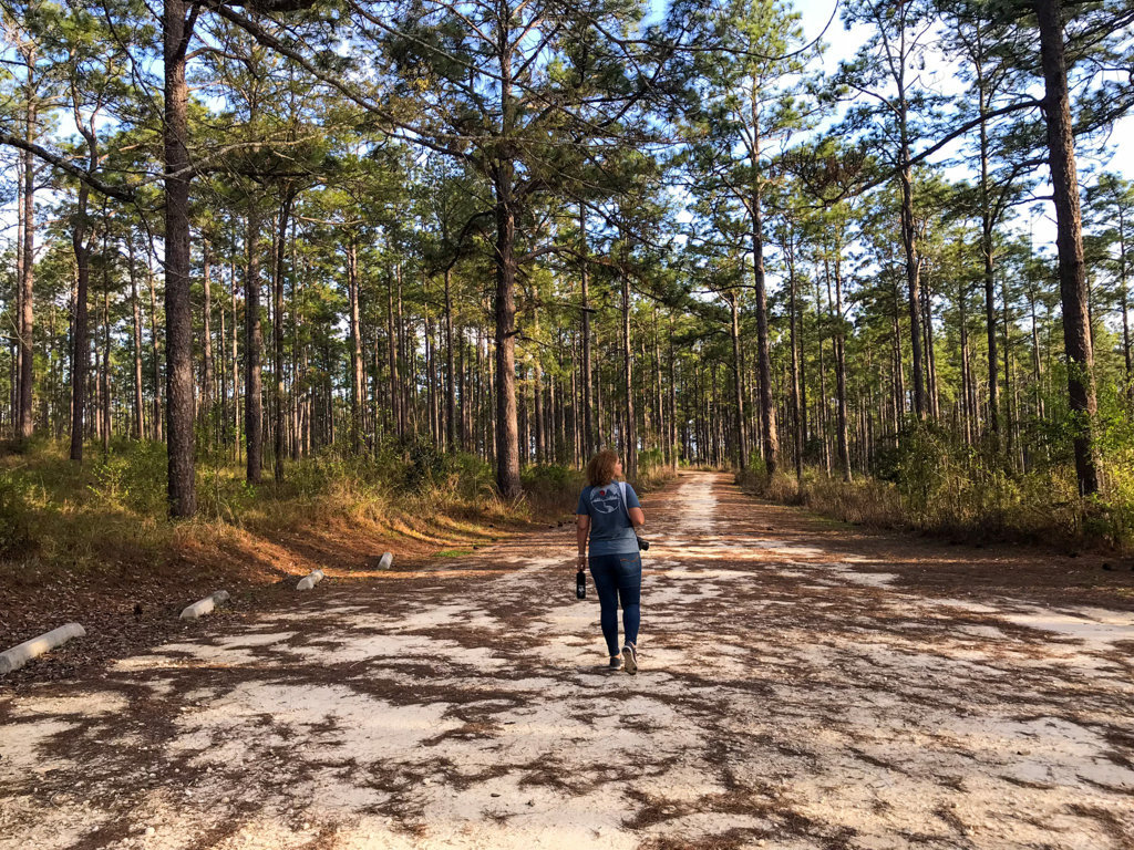 eco-friendly outdoor practices