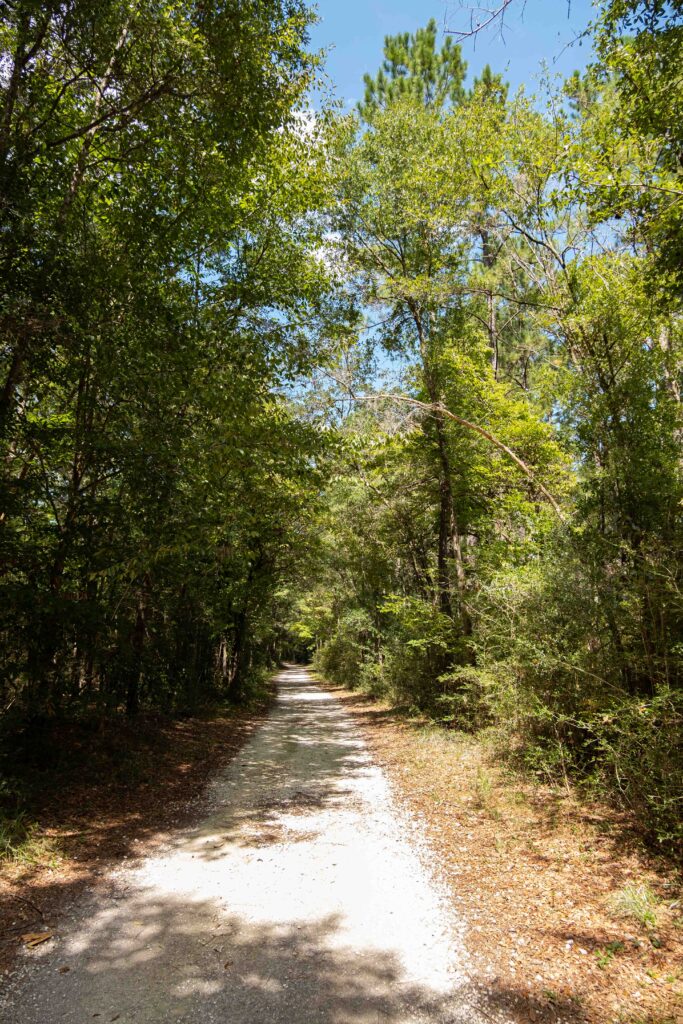 cherokee sink trail hike