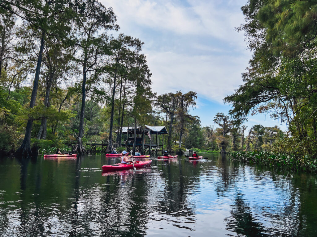 kayak paddle on the wakulla river