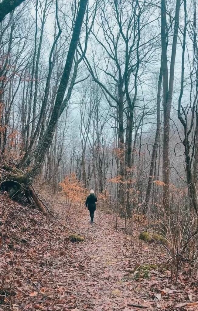 woman hiking in the forest in north carolina during the winter time