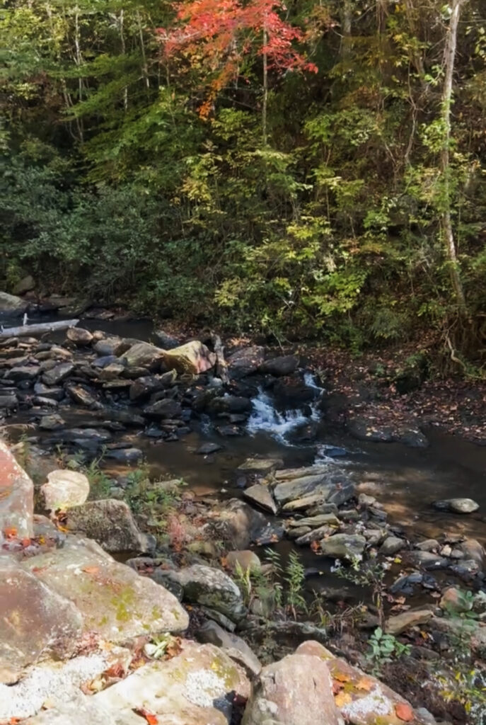 Discover Toccoa Falls: One Of The Easiest Hikes In North Georgia