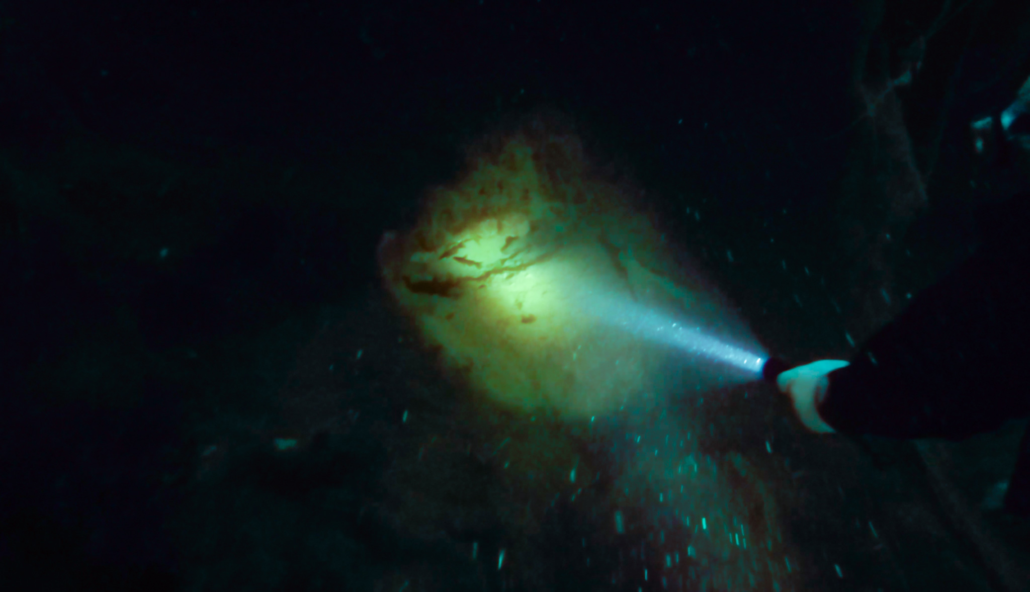 Dive Into An Epic Adventure At These 8 Incredible Florida Springs For