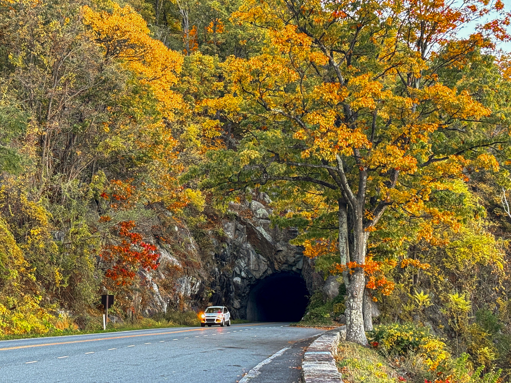 Fall foliage in Tunnel Parking Overlook at Shenandoah National Park during mid-October