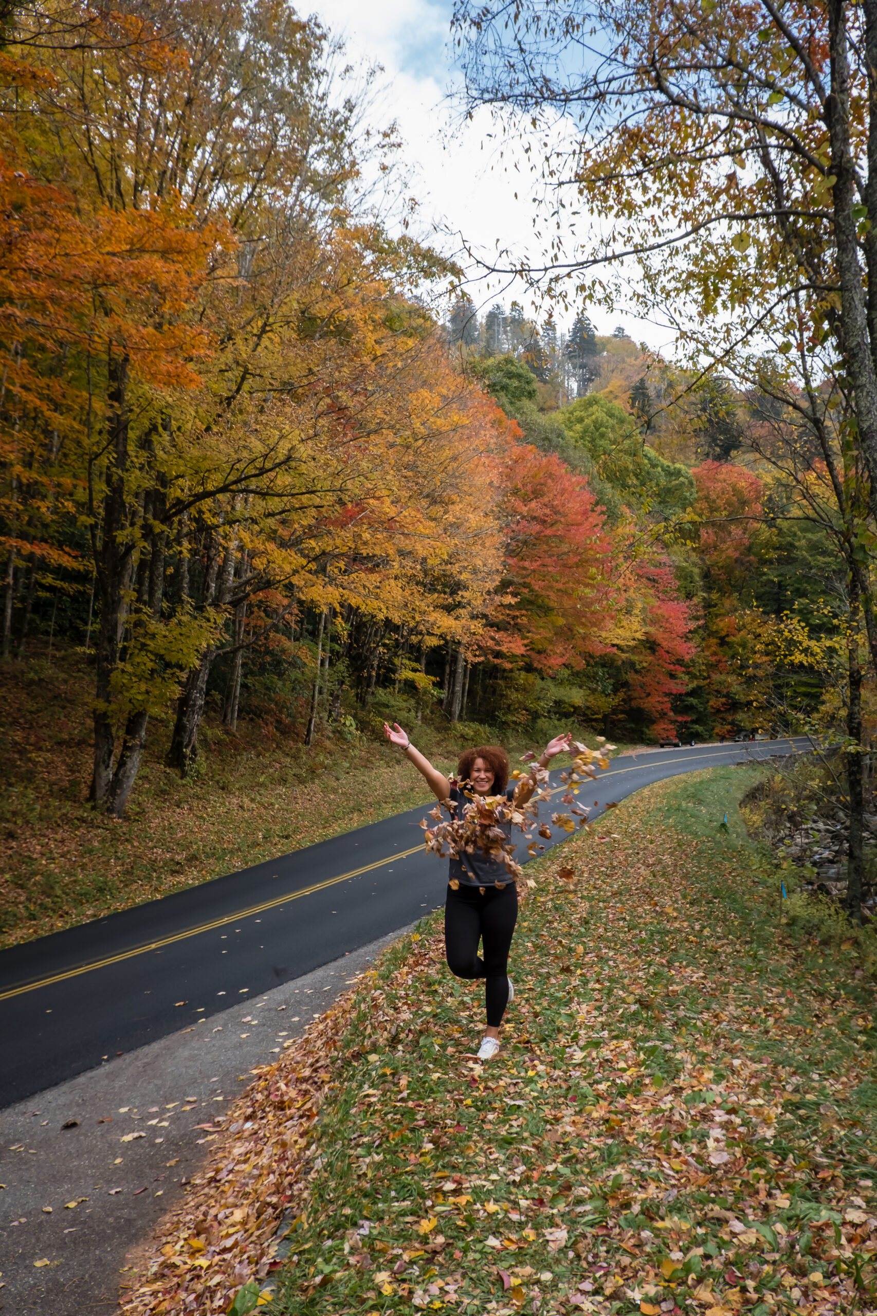 Fall in the Great Smoky Mountains, late October