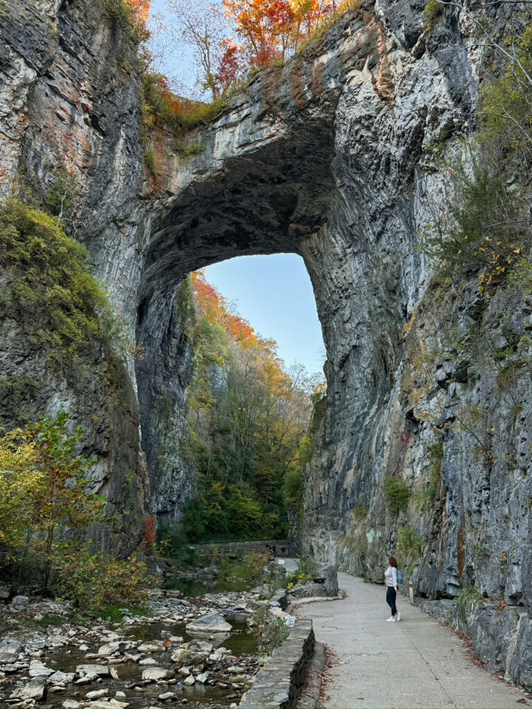 a picture of me looking up at the impressive Natural Bridge in Virginia