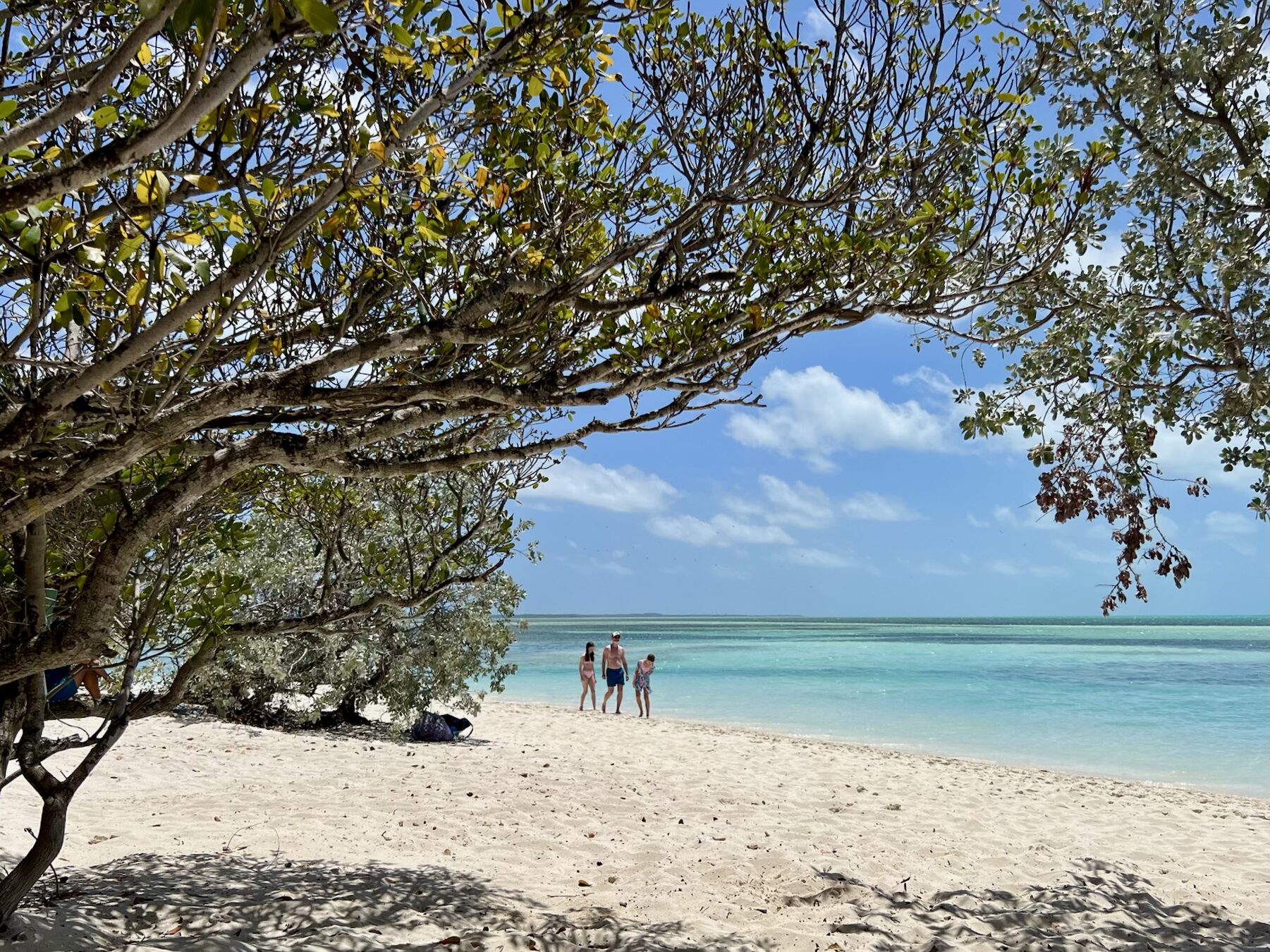 Cove Beach at Perfect Day at Coco Cay in the Bahamas