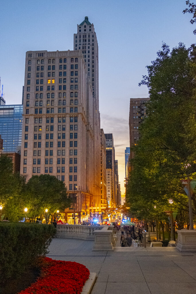 view of Chicago from Millennium Park at sundown