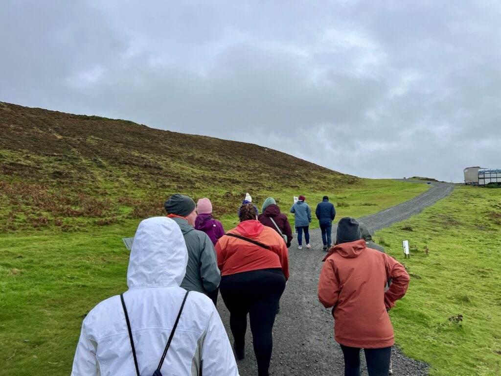 Group walking alpacas at Wild Alpaca Way experience Ireland