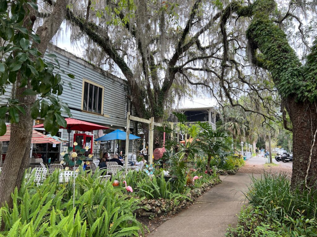 shops and restaurants in Micanopy
