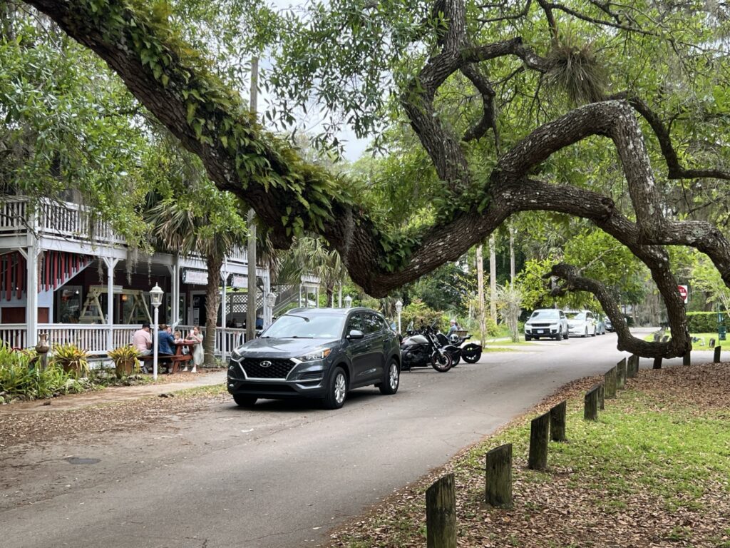 Tree-lined streets of Micanopy's Historic District