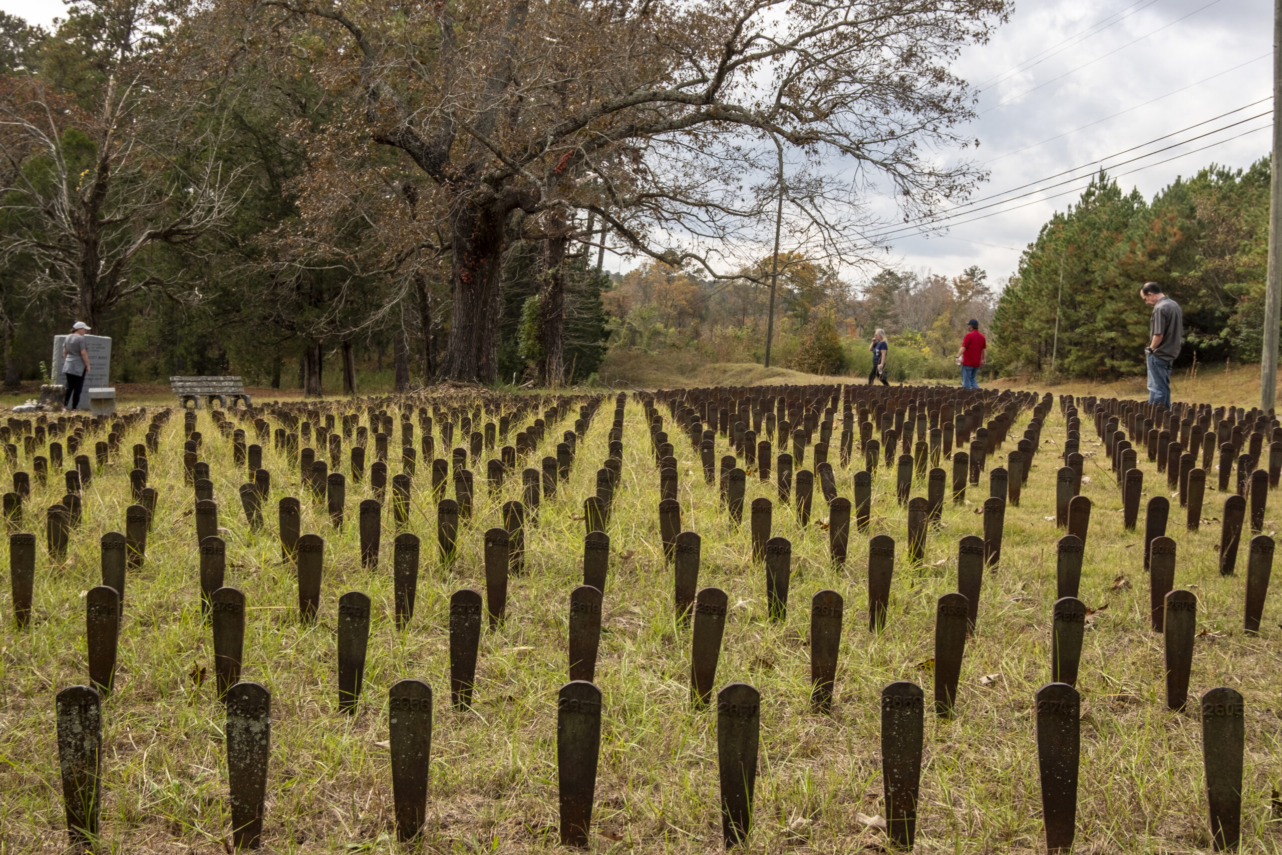 Memorial display of over 2,000 numbered iron grave markers at Cedar Lane Cemetery at Central State Hospital, markers that were found discarded on the ground and in the woods and arranged here in memory of the patients buried on the grounds.