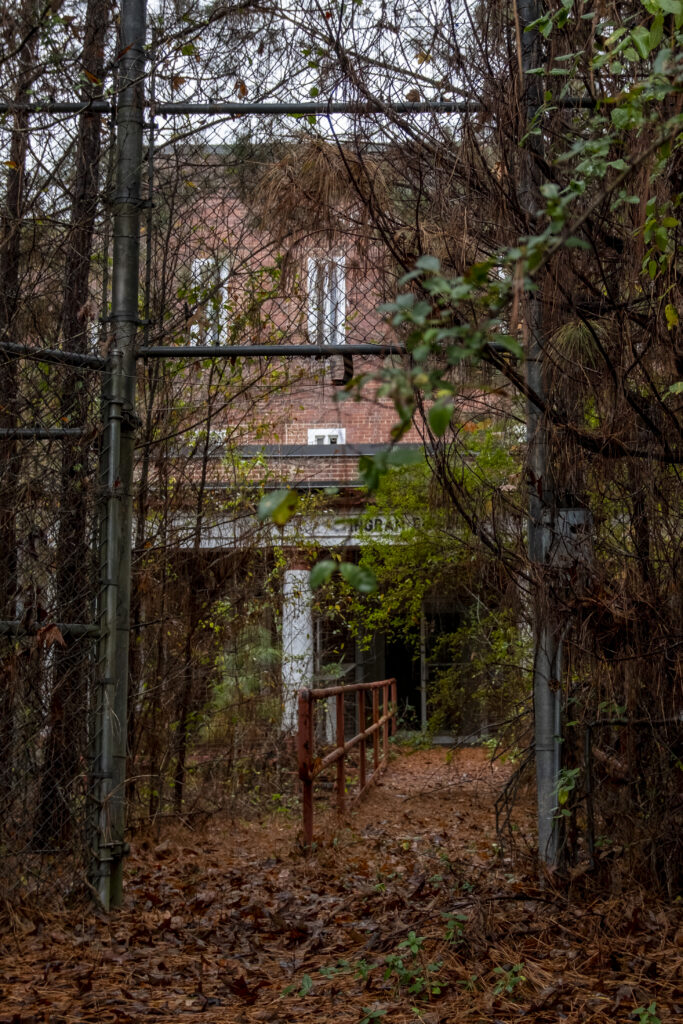 The Ingram Building at Central State Hospital nearly hidden behind overgrown weeds and trees, showing how nature has reclaimed parts of the abandoned campus in Milledgeville, Georgia.